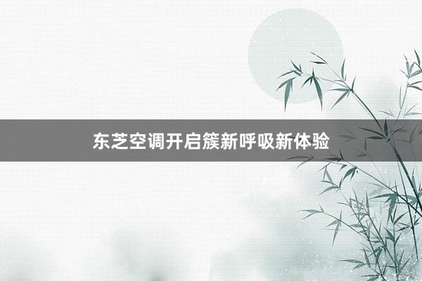 东芝空调开启簇新呼吸新体验